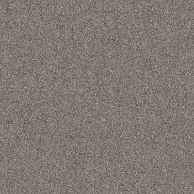 Shaw Floors Pet Perfect Yes You Can-ada1 12′ Chic Greige 00111_5E635