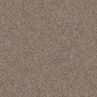 Shaw Floors Pet Perfect Yes You Can-ada1 12′ Cameo 00113_5E635