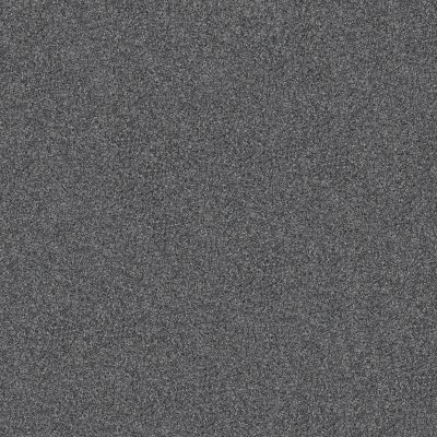 Shaw Floors Pet Perfect Yes You Can-ada1 12′ Refined 00402_5E635