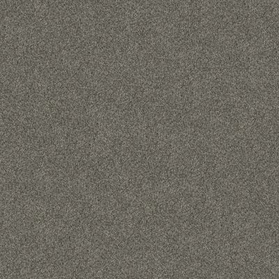 Shaw Floors Pet Perfect Yes You Can-ada 1 15 Rerooted Nature 00300_5E636