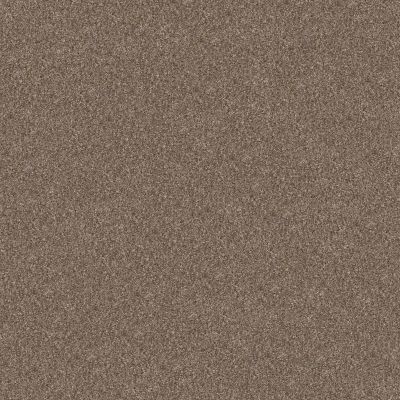 Shaw Floors Pet Perfect Yes You Can-ada II 12 Honeycomb 00207_5E637