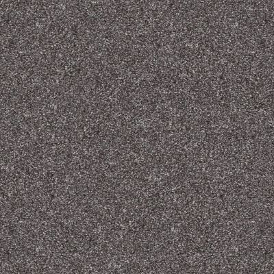 Shaw Floors Pet Perfect Yes You Can-ada II 12 Shadow 00502_5E637