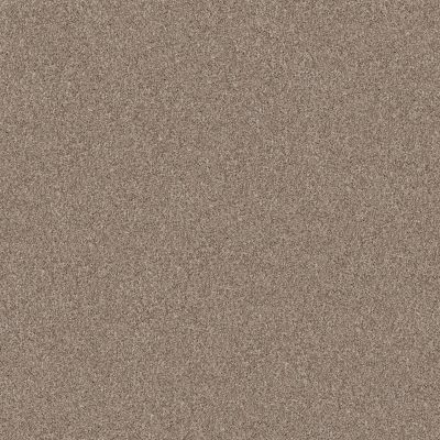 Shaw Floors Pet Perfect Yes You Can-ada III 12′ Subtle Clay 00114_5E639