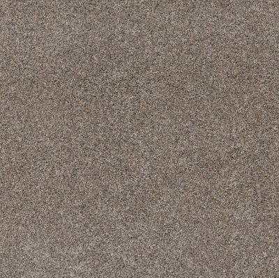 Shaw Floors Pet Perfect Yes You Can-ada III 12′ Warm Light 00116_5E639