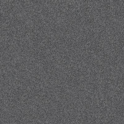Shaw Floors Pet Perfect Yes You Can-ada III 12′ Refined 00402_5E639
