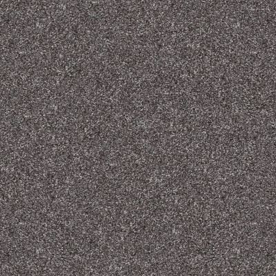 Shaw Floors Pet Perfect Yes You Can-ada III 12′ Shadow 00502_5E639