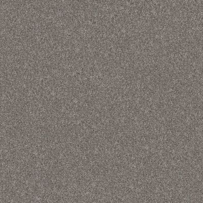 Shaw Floors Pet Perfect Yes You Can-ada III 12′ Vintage 00509_5E639