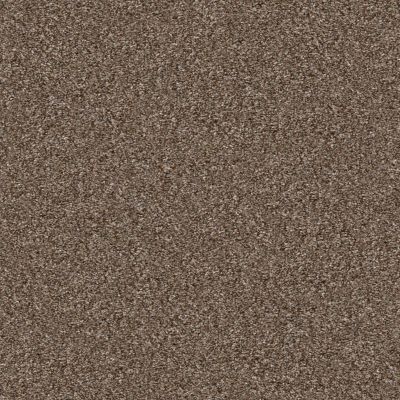 Shaw Floors Pet Perfect Yes You Can-ada III 15′ Worn Path 00700_5E640