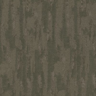 Shaw Floors Pet Perfect Plus Tranquil Spirit Net Rerooted Nature 00300_5E645
