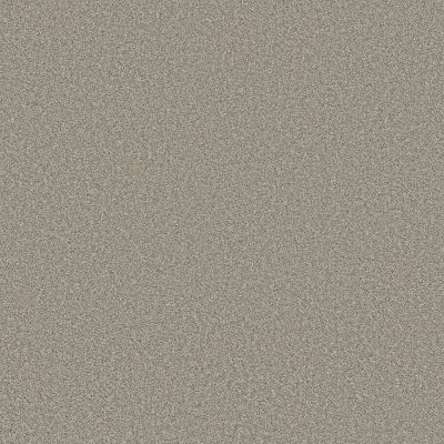 Shaw Floors Simply The Best Trusolutions I Stone Path 00505_5E647