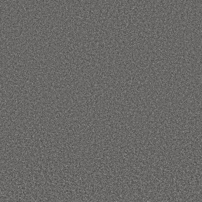 Shaw Floors Simply The Best Trusolutions I Mercury 00508_5E647