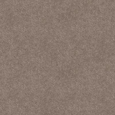 Shaw Floors Simply The Best Trusolutions III Taupe Dream 00705_5E649