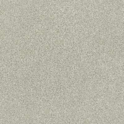 Shaw Floors SFA Tonal Comfort I Willow Tree 00330_5E656