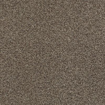 Shaw Floors SFA Tonal Comfort I Summer House 00708_5E656