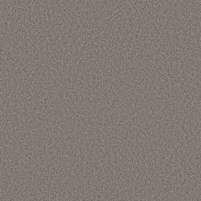 Shaw Floors SFA Tonal Comfort I Natural Fit 00751_5E656