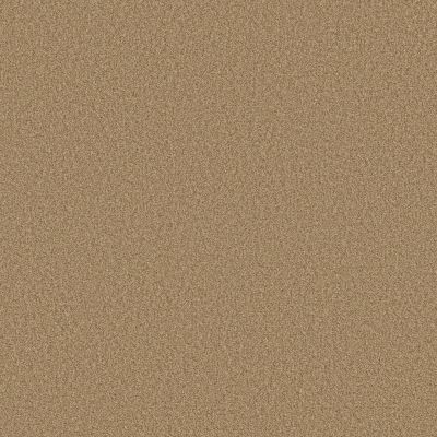 Shaw Floors SFA Tonal Comfort II Pasta Recipe 00225_5E657
