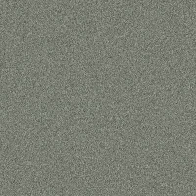 Shaw Floors SFA Tonal Comfort II Meadow 00328_5E657