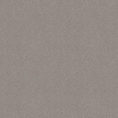 Shaw Floors SFA Tonal Comfort II Whisper 00536_5E657