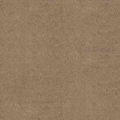 Shaw Floors SFA Tonal Comfort II Falling Leaves 00720_5E657