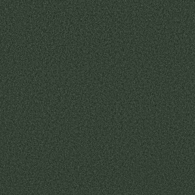 Shaw Floors SFA Tonal Comfort Blue Magnolia Branch 00322_5E658