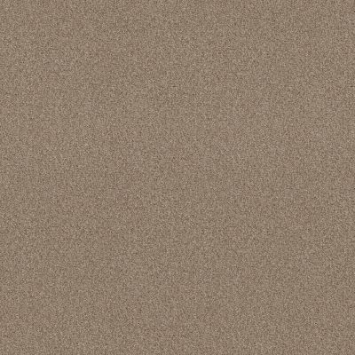 Shaw Floors SFA Tonal Comfort Blue Honey Tea 00750_5E658