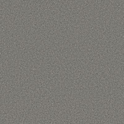 Shaw Floors SFA Tweed Comfort II First Class 00370_5E662