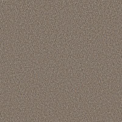 Shaw Floors Simply The Best Always Right II Goose Feather 00120_5E665