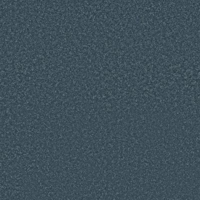 Shaw Floors Pet Perfect Way To Go I Blueprint 00410_5E668