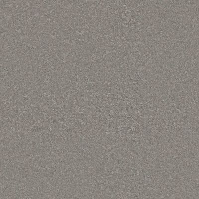 Shaw Floors Pet Perfect Way To Go II Chicago Fog 00501_5E669