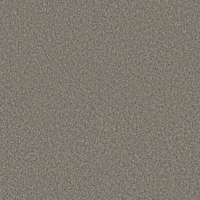 Shaw Floors Pet Perfect Plus Renewed Energy I Granite 00121_5E671