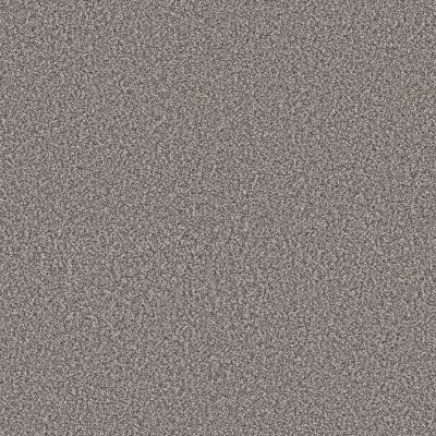 Shaw Floors Pet Perfect Plus Renewed Energy I Fog 00503_5E671