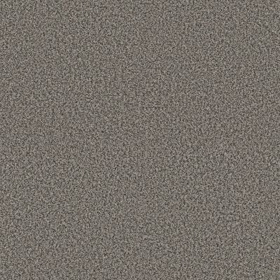Shaw Floors Pet Perfect Plus Renewed Energy I Shadow 00504_5E671