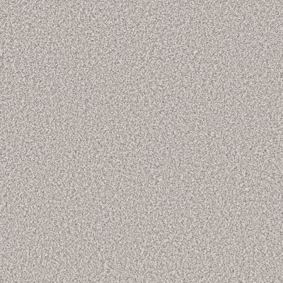 Shaw Floors Pet Perfect Remixed Classic Silver Lining 00517_5E679