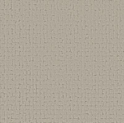 Shaw Floors Pet Perfect Plus Block Party River Birch 00106_5E697