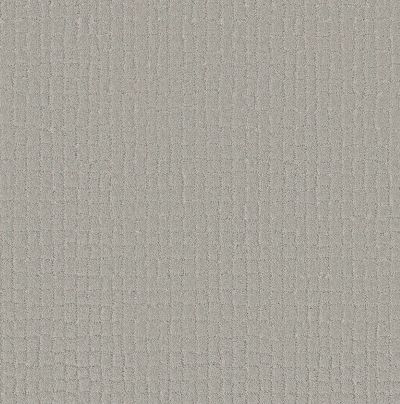 Shaw Floors Pet Perfect Plus Block Party Rock Crystal 00508_5E697