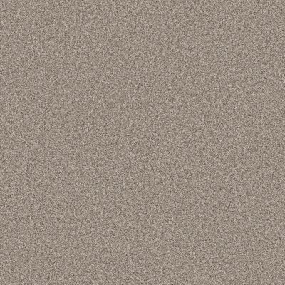 Shaw Floors Pet Perfect Remixed Classic Net Pebble 00115_5E702