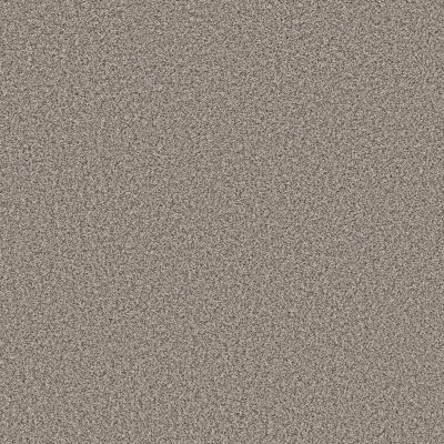 Shaw Floors Pet Perfect Remixed Classic Net Vapor 00520_5E702