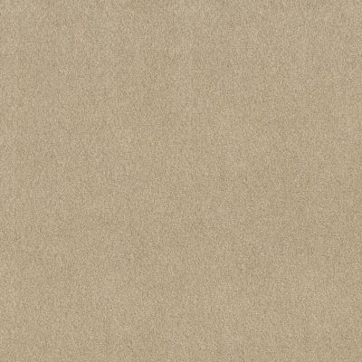 Shaw Floors SFA Tonal Comfort I Net Sun Kissed 00110_5E706