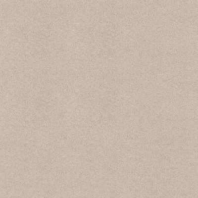 Shaw Floors SFA Tonal Comfort I Net Vintage Quilt 00121_5E706
