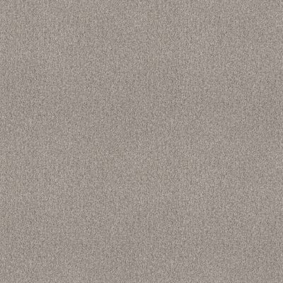 Shaw Floors SFA Tonal Comfort I Net Chill In The Air 00126_5E706