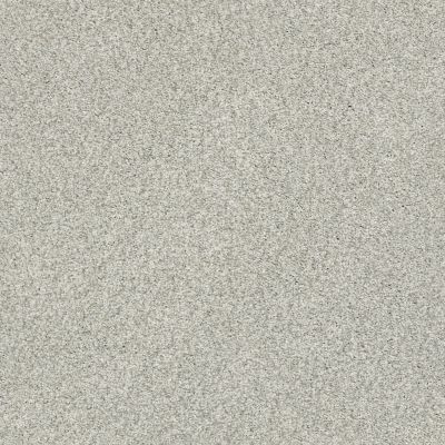 Shaw Floors SFA Tonal Comfort I Net Refreshed 00515_5E706