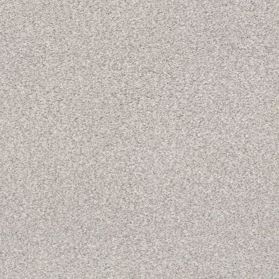 Shaw Floors SFA Tonal Comfort II Net Dreamy 00537_5E707