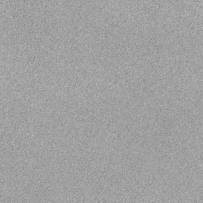 Shaw Floors SFA Tonal Comfort II Net Polished Silver 00538_5E707