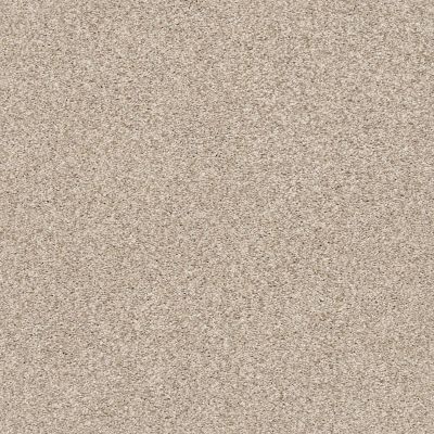 Shaw Floors SFA Tonal Comfort Blue Net My Haven 00743_5E708