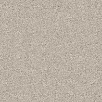 Shaw Floors Pet Perfect Ultra Lush Net Warm Light 00116_5E724