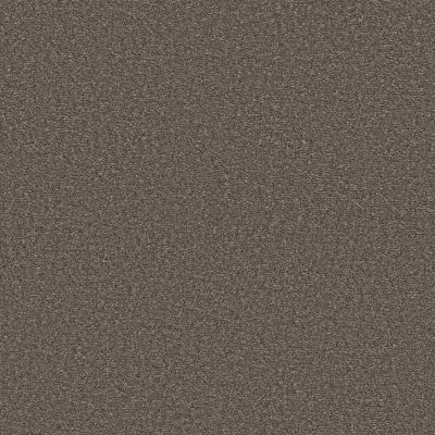 Shaw Floors Pet Perfect Ultra Lush Net Cappuccino 00751_5E724