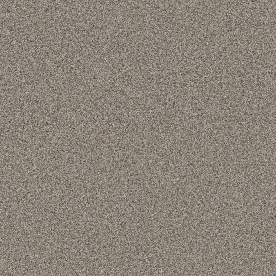 Shaw Floors Pet Perfect Plus Renewed Energy I Net Prairie Run 00126_5E728
