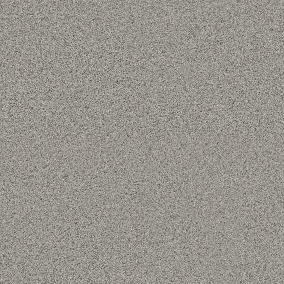 Shaw Floors Pet Perfect Plus Renewed Energy I Net Thin Ice 00518_5E728
