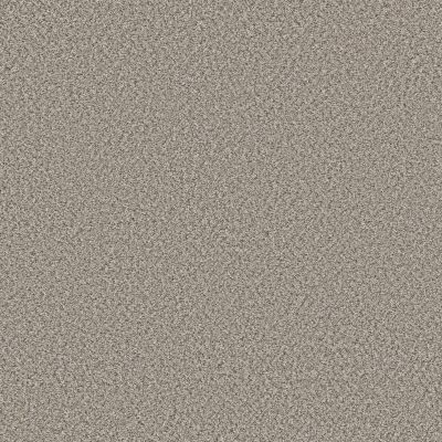 Shaw Floors Feelin’ Alright Net Almond 00121_5E742