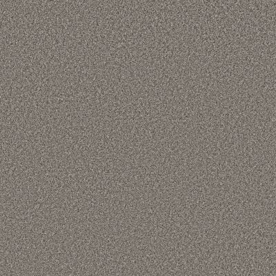 Shaw Floors New Attitude Net Meteor 00511_5E744